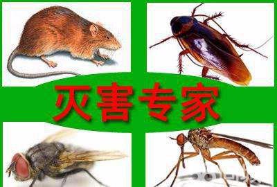 服務(wù)項(xiàng)目與范圍